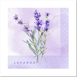 Flor Lavanda Posters and Art